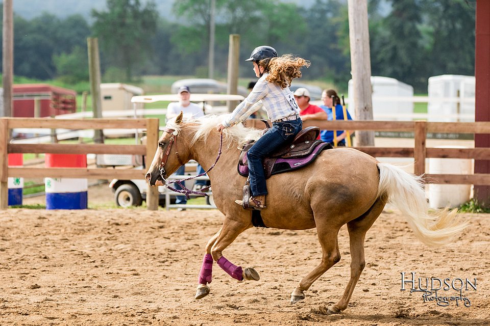 LCFAIR-081817-0228.jpg