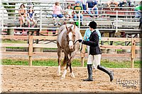 LCFAIR-081817-0264.jpg