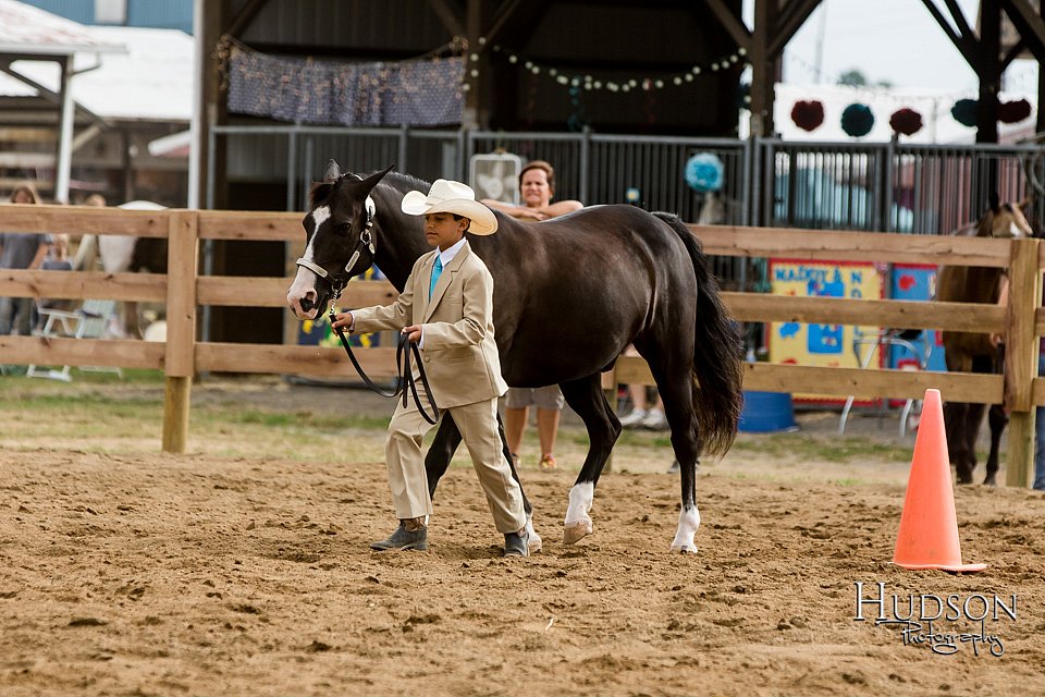 LCFAIR-081817-0280.jpg