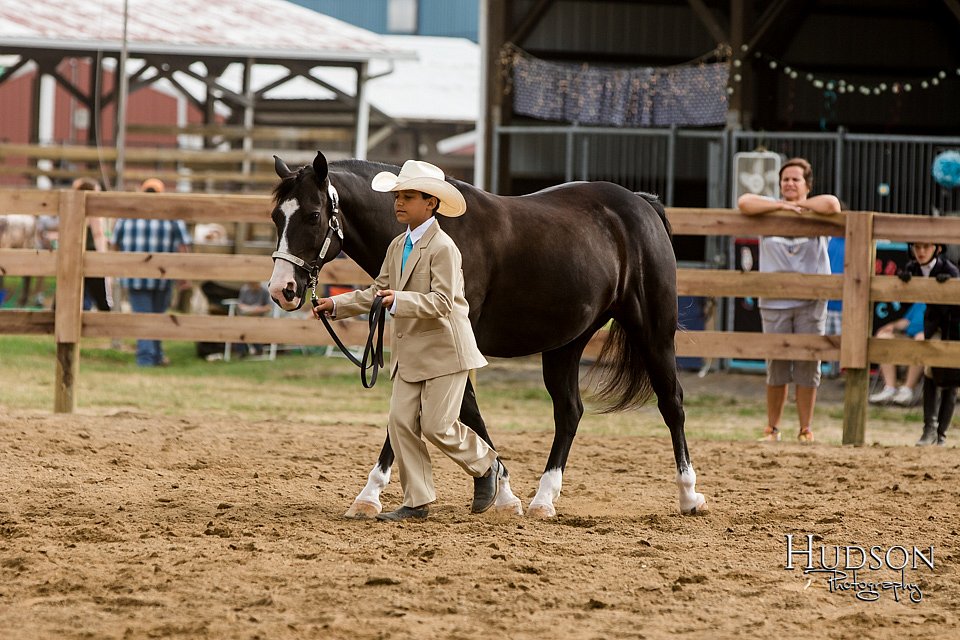 LCFAIR-081817-0281.jpg