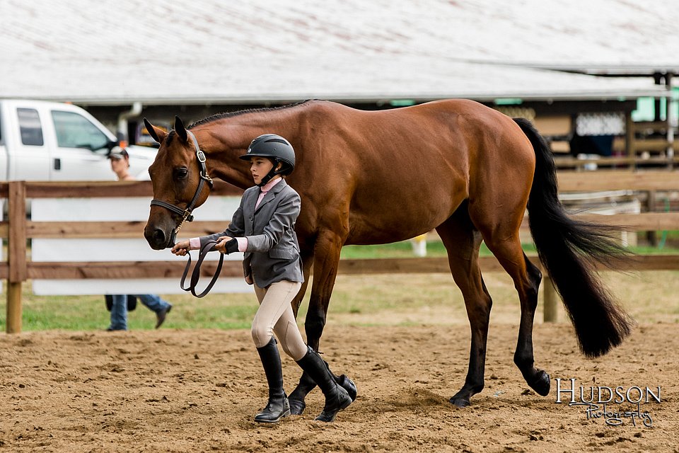 LCFAIR-081817-0320.jpg