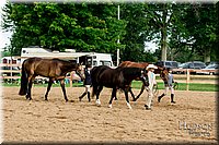 LCFAIR-081817-0340.jpg