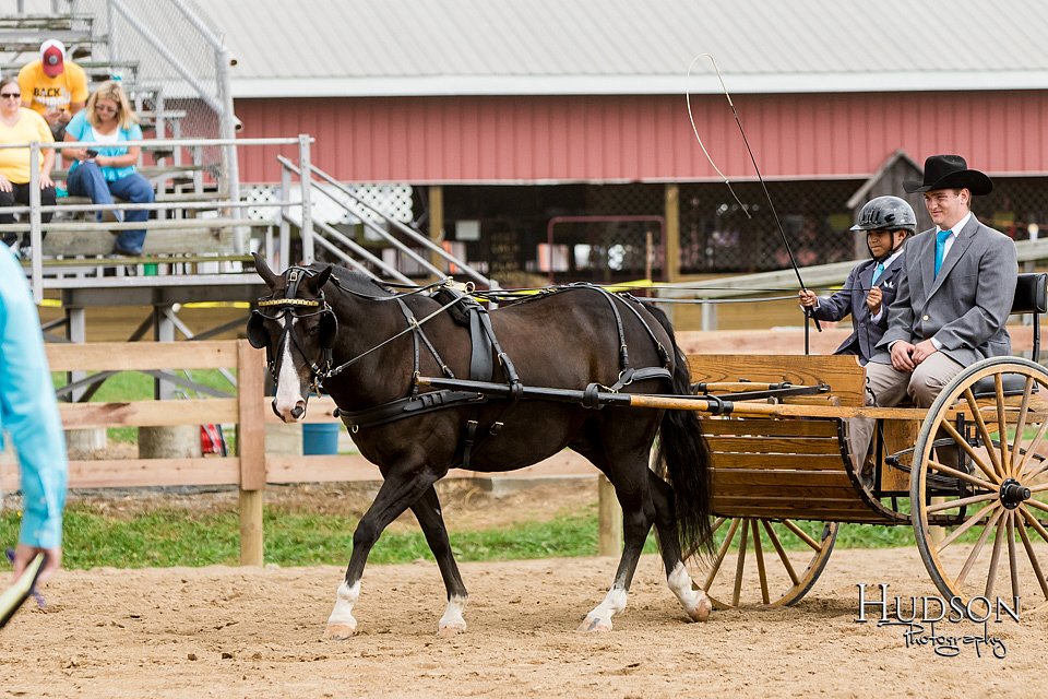 LCFAIR-081817-0553.jpg