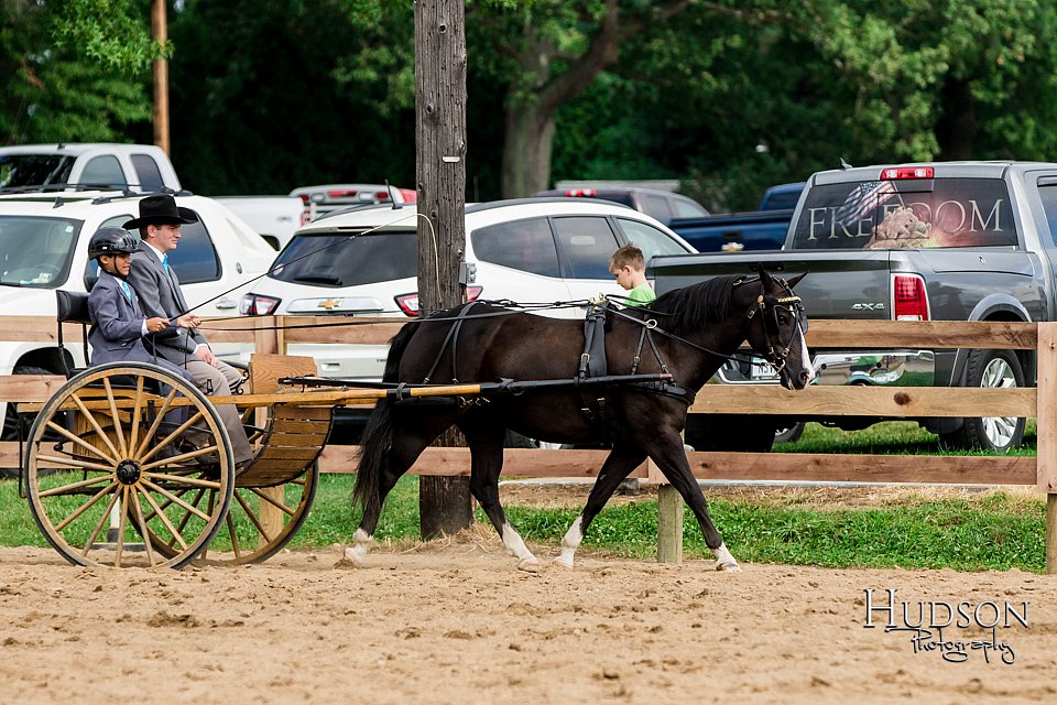 LCFAIR-081817-0556.jpg