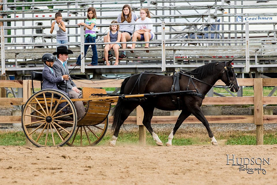 LCFAIR-081817-0559.jpg