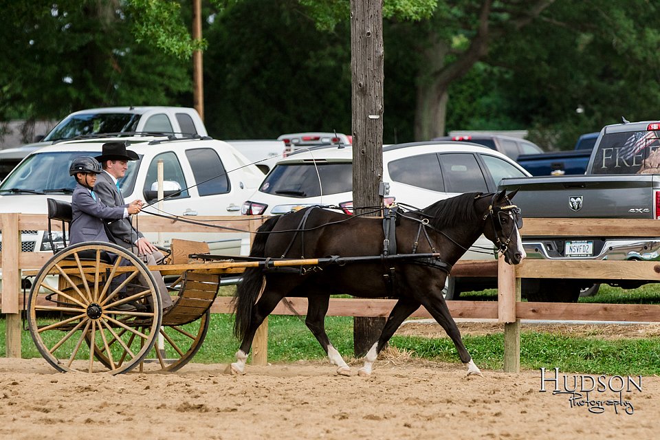 LCFAIR-081817-0568.jpg