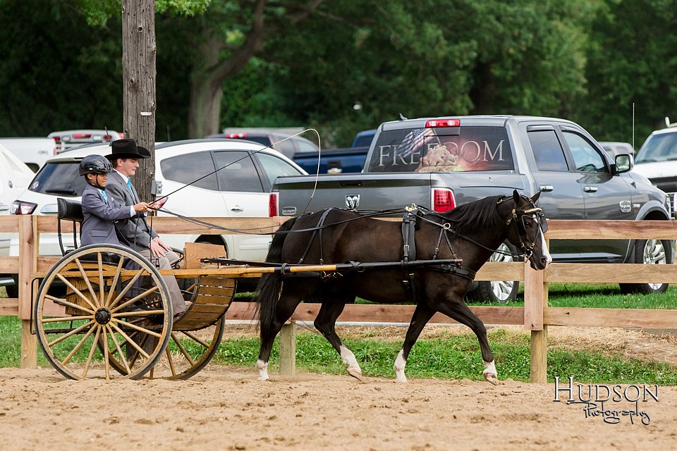 LCFAIR-081817-0569.jpg