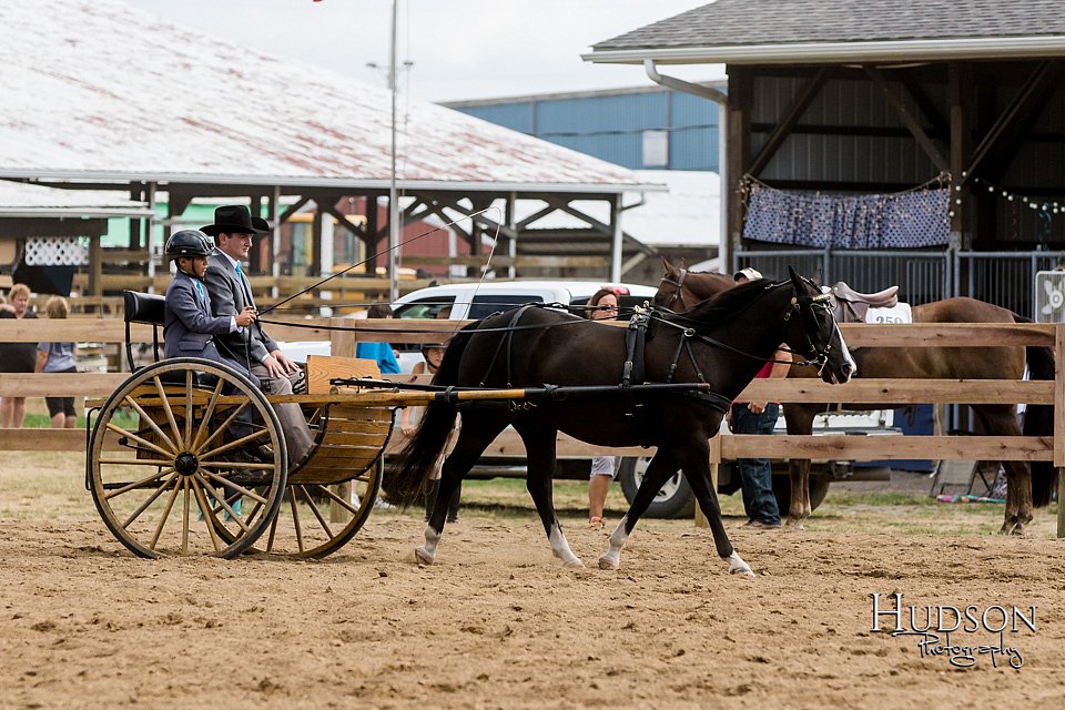 LCFAIR-081817-0572.jpg