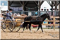 LCFAIR-081817-0560.jpg