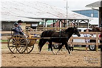 LCFAIR-081817-0571.jpg