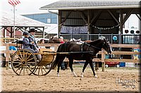 LCFAIR-081817-0573.jpg