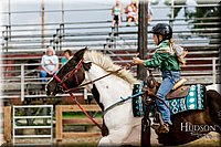 LCFAIR-081817-0388.jpg