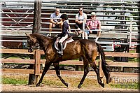 LCFAIR-081817-0580.jpg