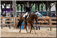 LCFAIR-081817-0601.jpg