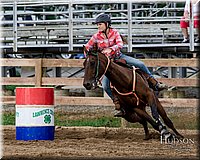 LCFAIR-081817-0813.jpg