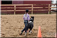 LCFAIR-081817-0931.jpg