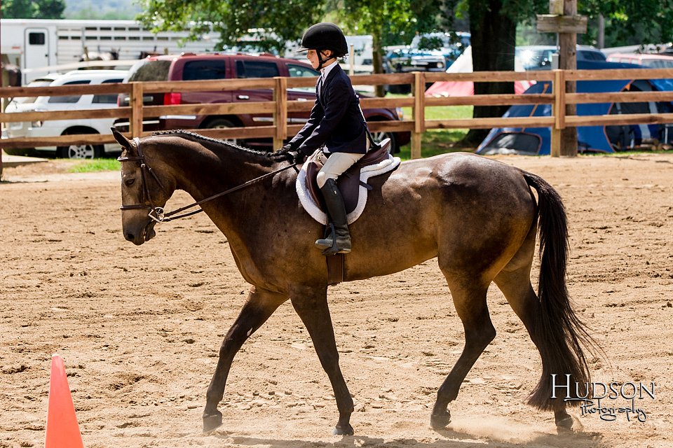 LCFAIR-081817-1035.jpg