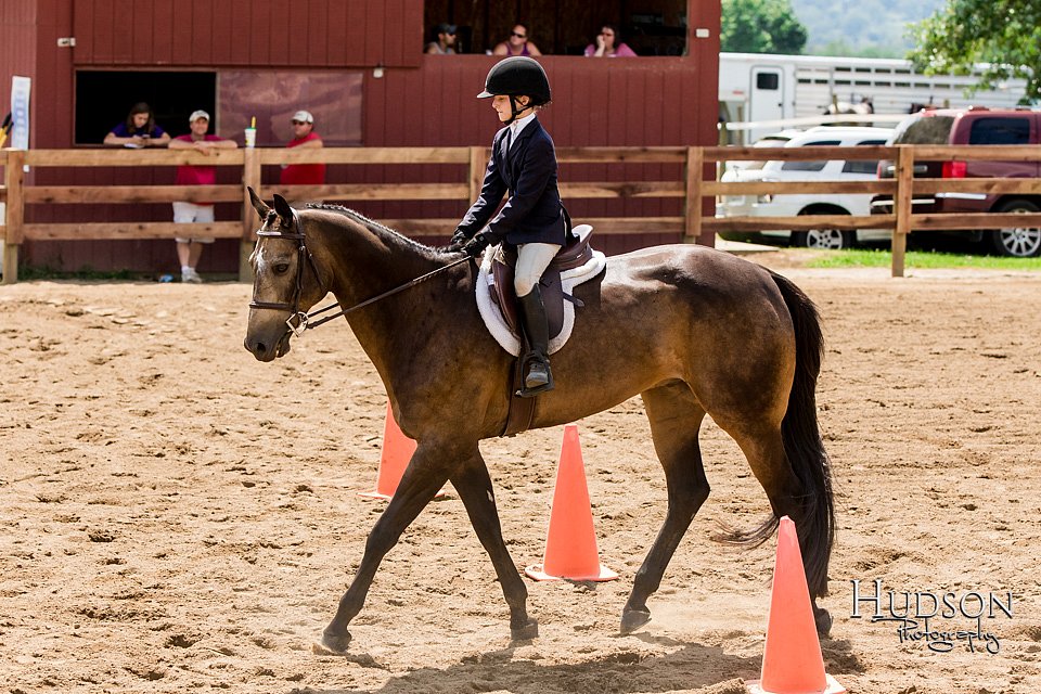 LCFAIR-081817-1036.jpg