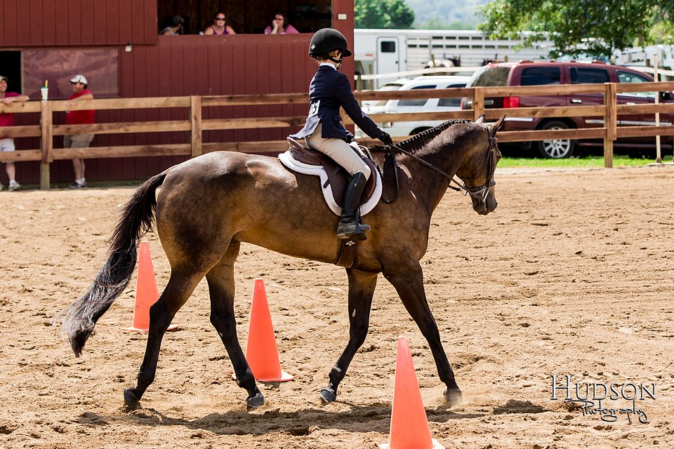 LCFAIR-081817-1040.jpg