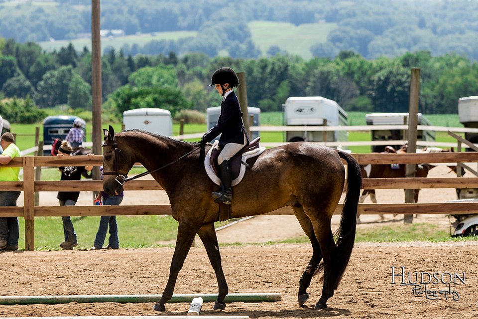 LCFAIR-081817-1041.jpg