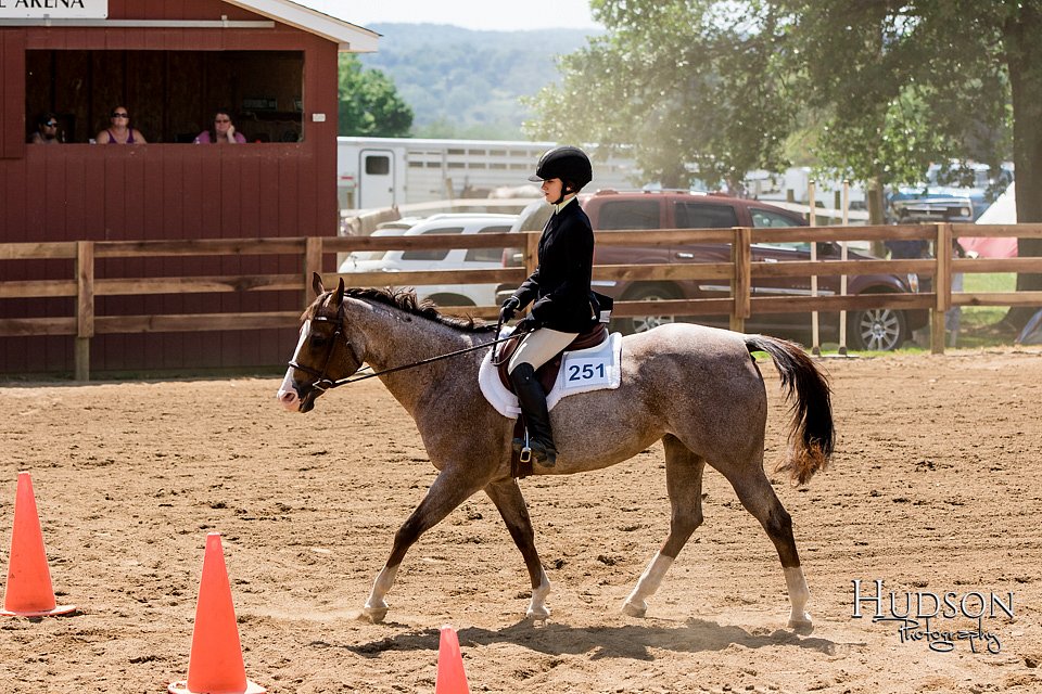 LCFAIR-081817-1080.jpg