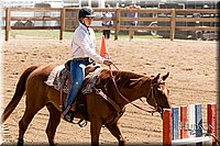 LCFAIR-081817-1112.jpg