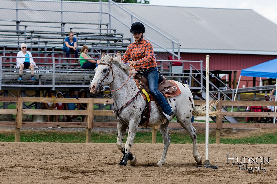 LCFAIR-081817-1190.jpg