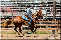 LCFAIR-081817-1235.jpg