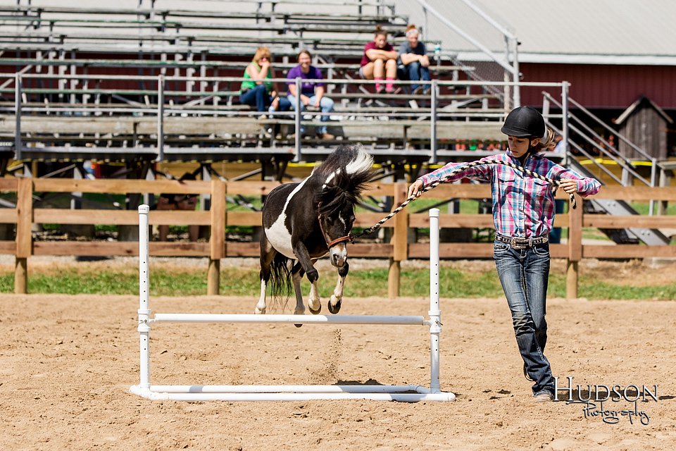 LCFAIR-081817-1325.jpg