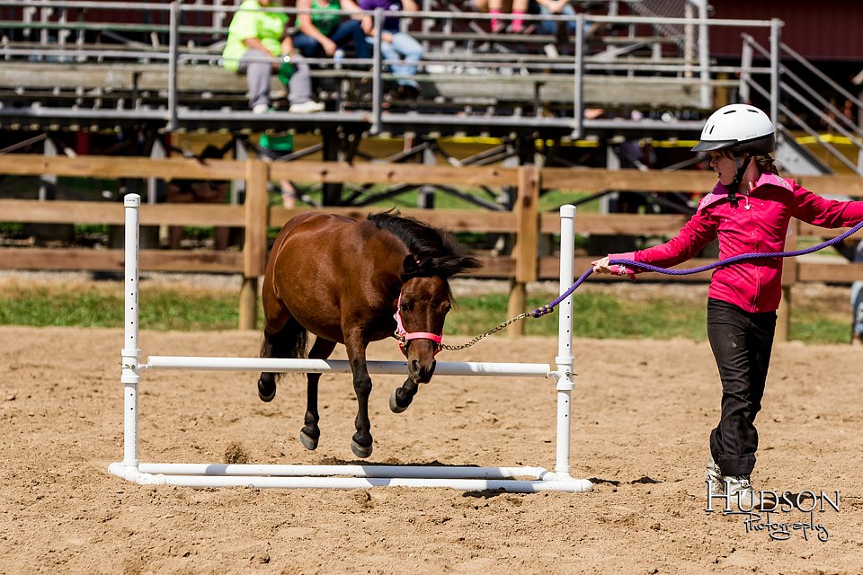 LCFAIR-081817-1351.jpg