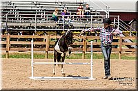 LCFAIR-081817-1324.jpg