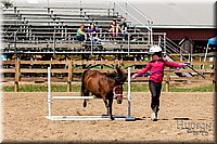 LCFAIR-081817-1337.jpg