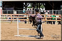 LCFAIR-081817-1347.jpg