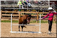 LCFAIR-081817-1350.jpg