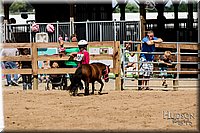 LCFAIR-081817-1356.jpg