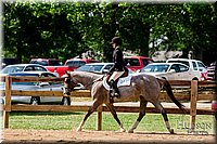 LCFAIR-081817-1503.jpg