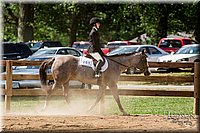 LCFAIR-081817-1515.jpg