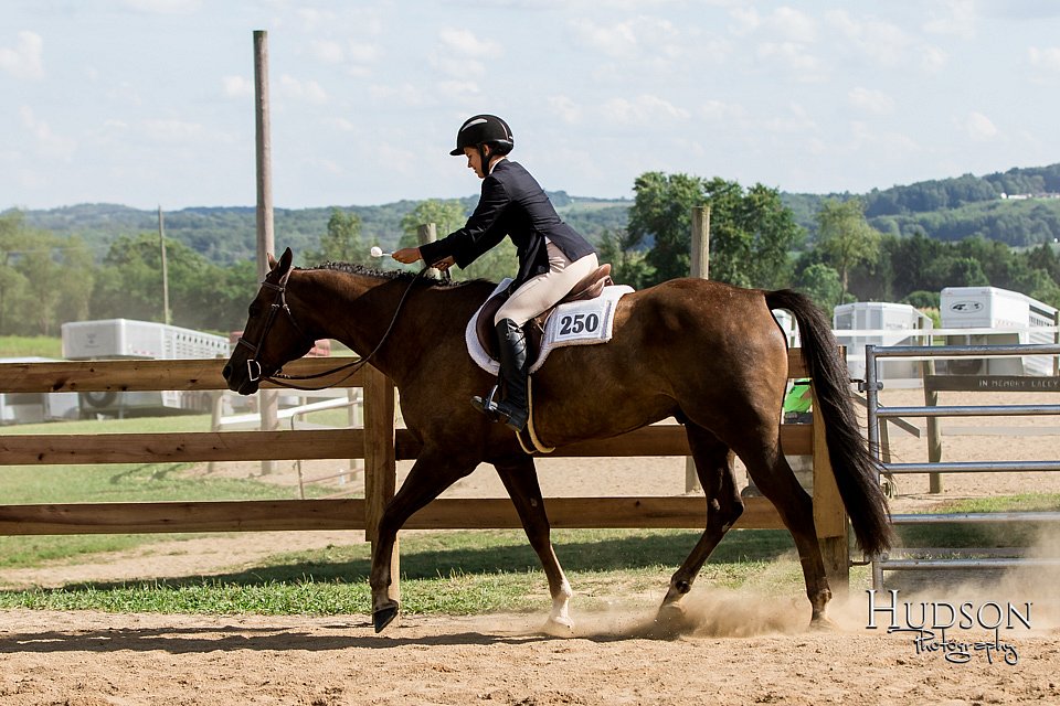 LCFAIR-081817-1682.jpg