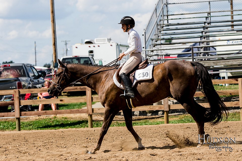 LCFAIR-081817-1434.jpg
