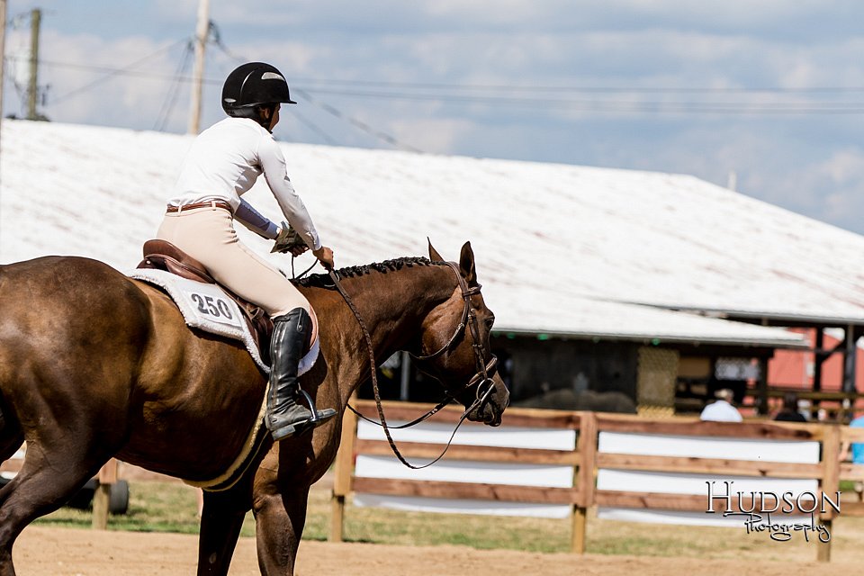 LCFAIR-081817-1449.jpg