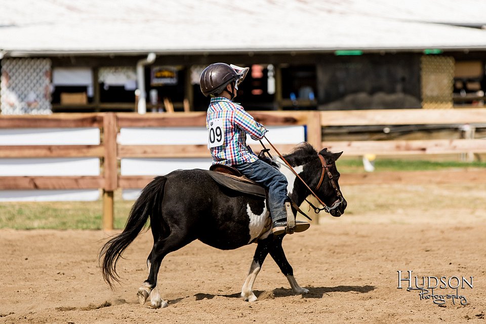 LCFAIR-081817-1478.jpg