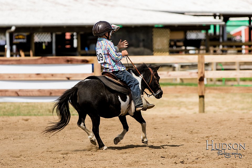 LCFAIR-081817-1480.jpg