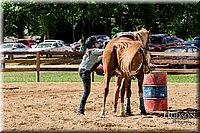 LCFAIR-081817-1430.jpg