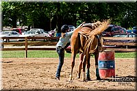LCFAIR-081817-1431.jpg