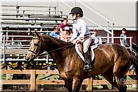 LCFAIR-081817-1450.jpg