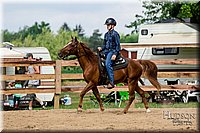 16. Western Pleasure - Horse Sr. Rider