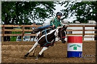 21. Cloverleaf Barrels - Horse