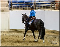 15-Western-Horsemanship-Jr