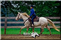 52 Working Western Horse or Pony