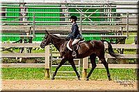 61 Classic Hunter Under Saddle Horses Sr